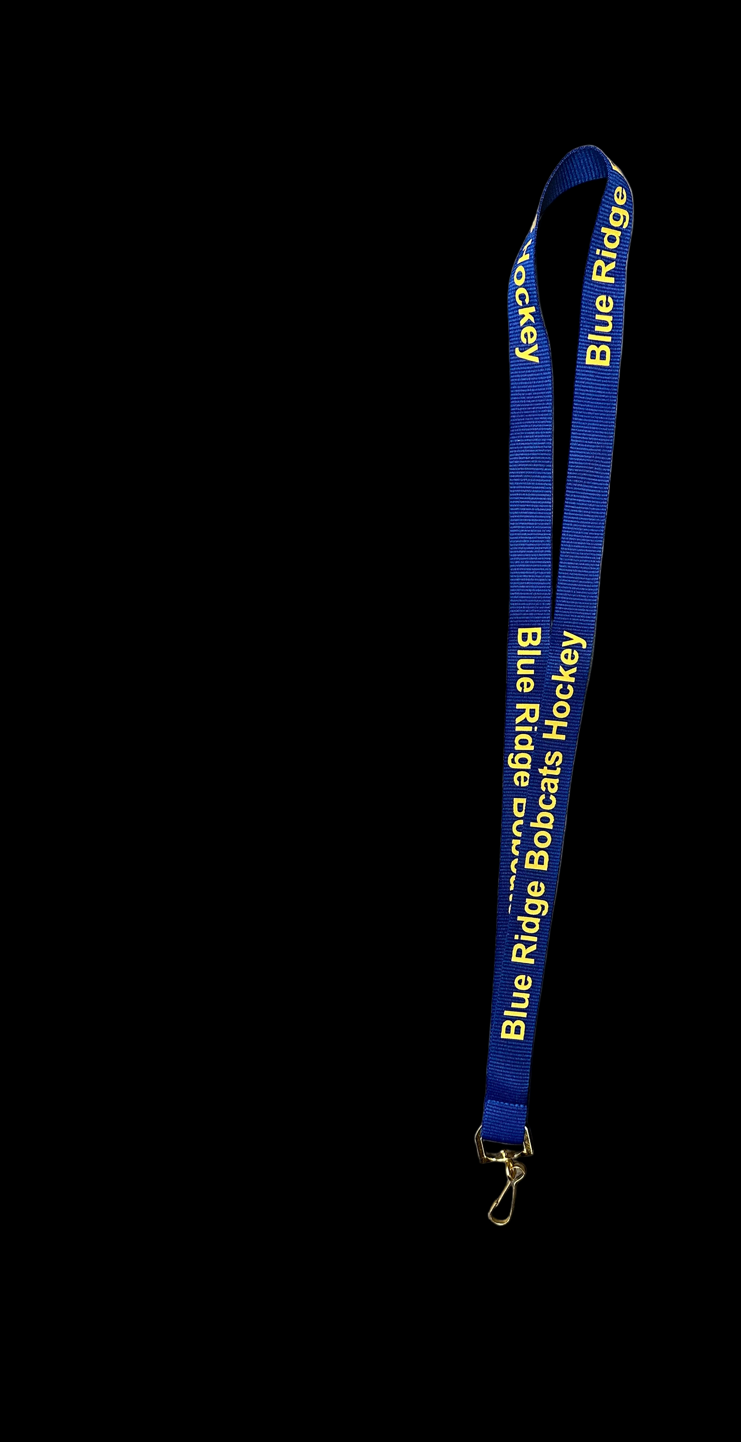 Lanyard