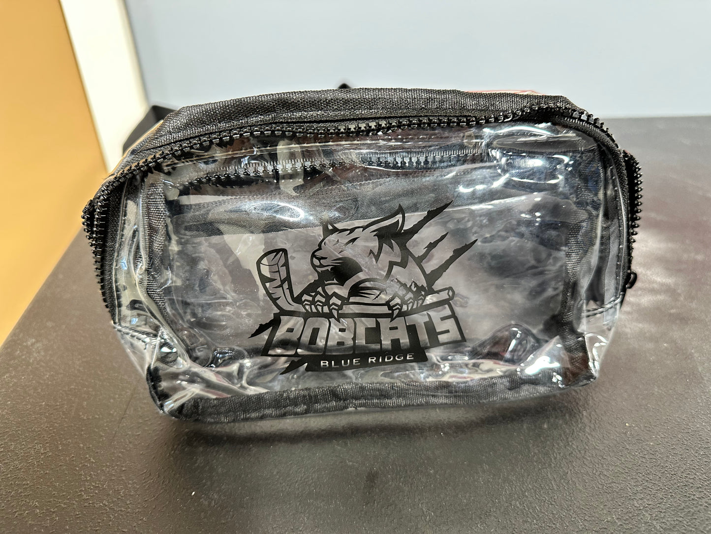 Clear Belt Bag