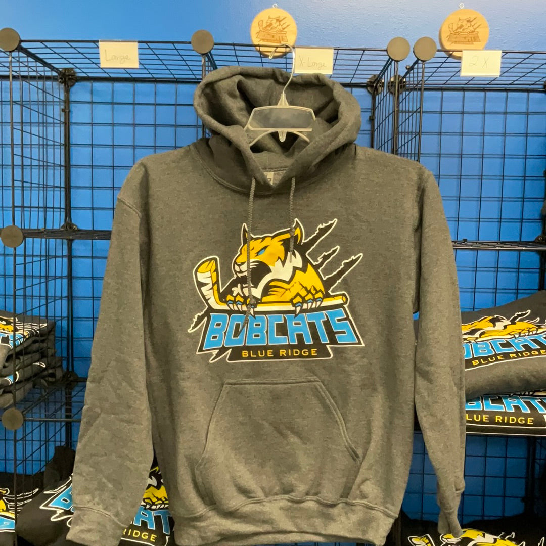 Youth Hoodies